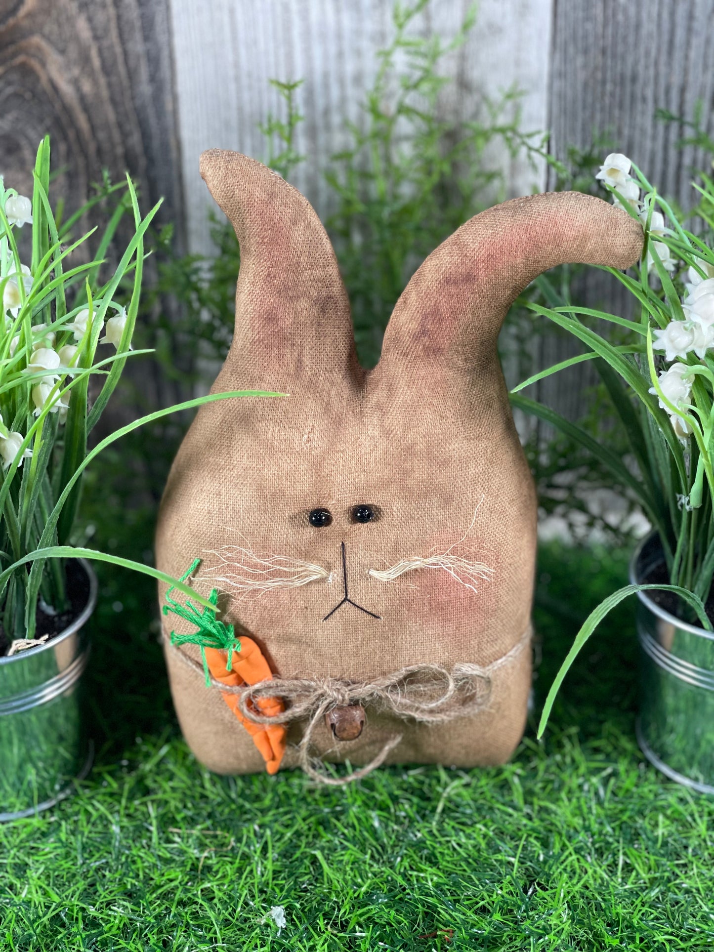 Funny Bunnies
