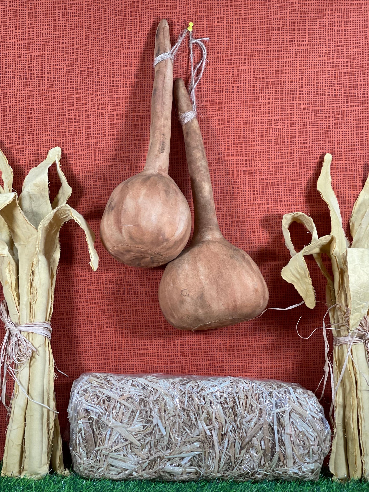 Primitive Gourds