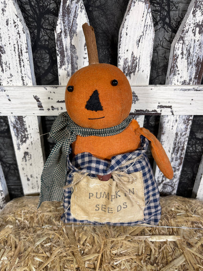 Pumpkin Seedlings