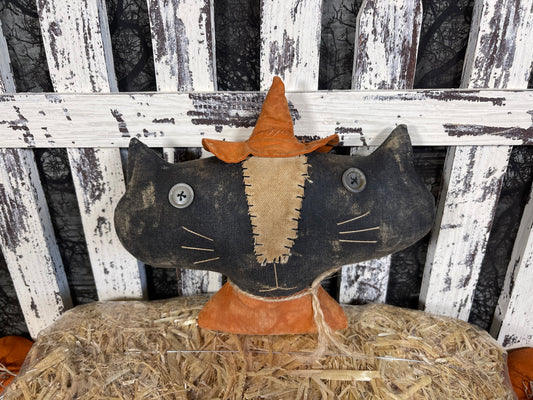 Witchy Cat