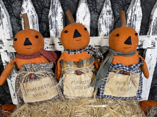 Pumpkin Seedlings