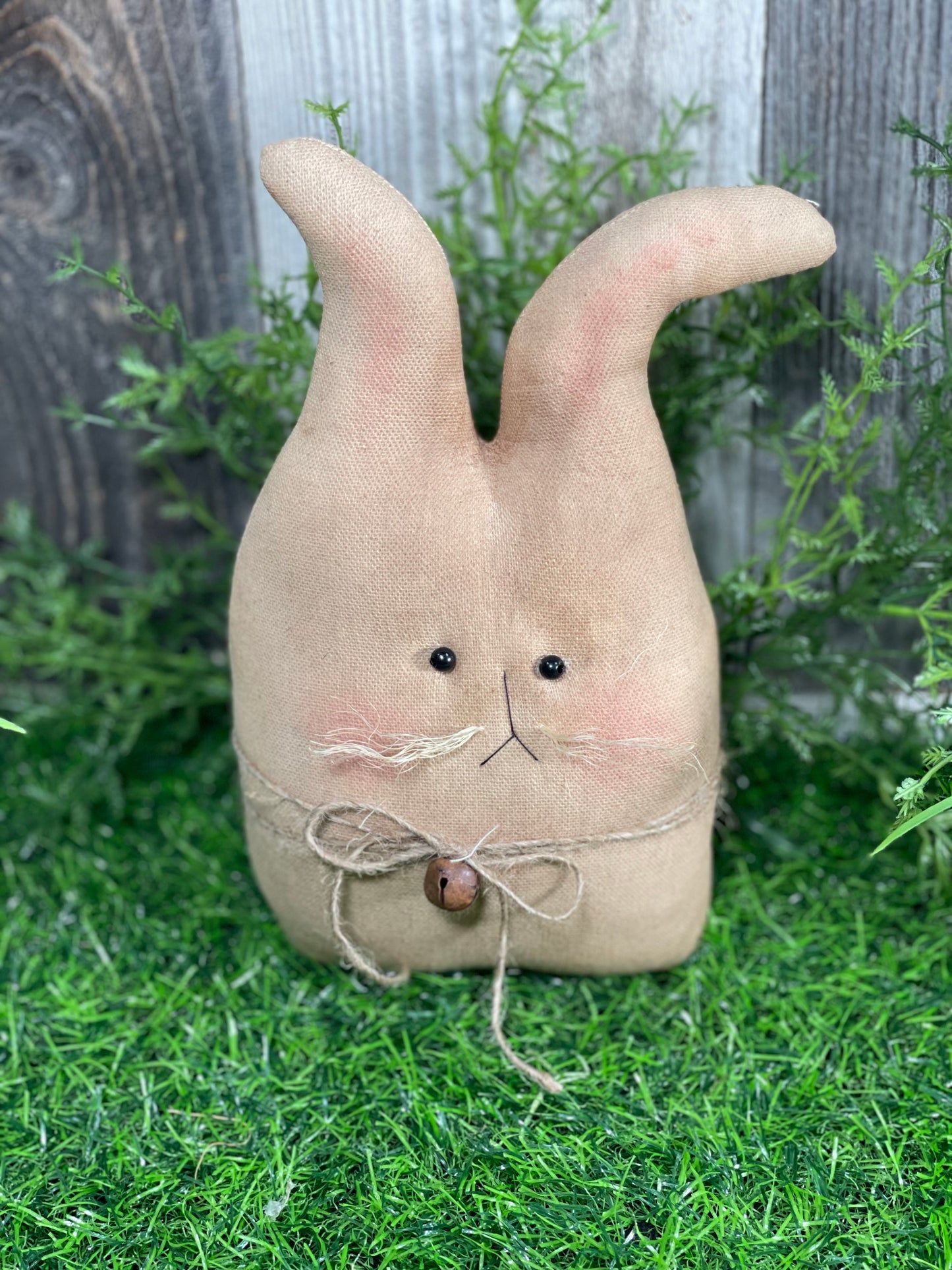 Funny Bunnies