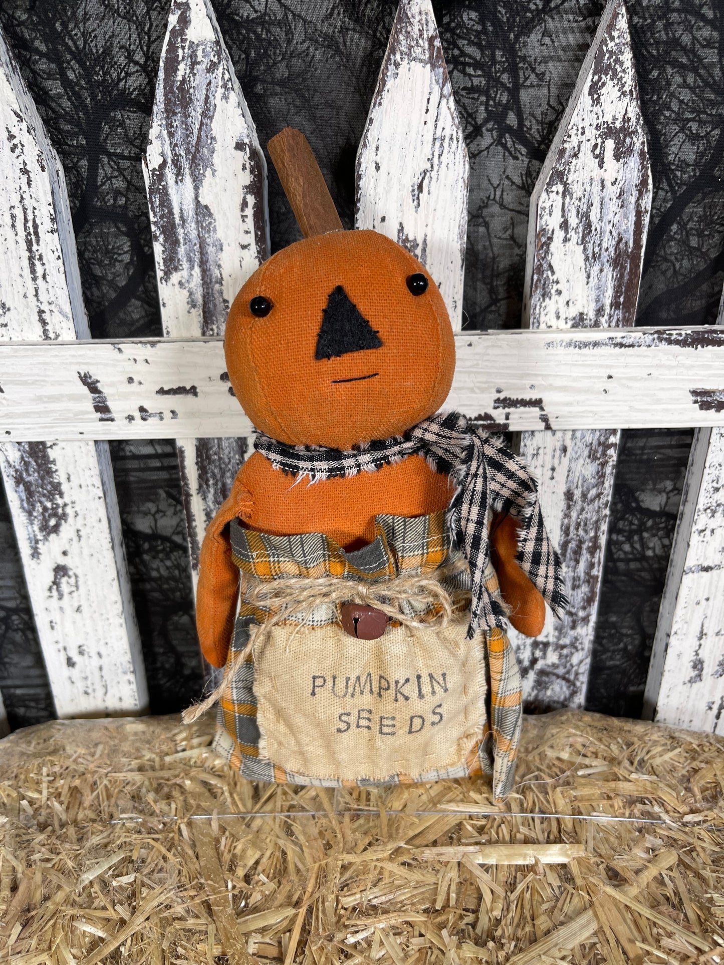 Pumpkin Seedlings