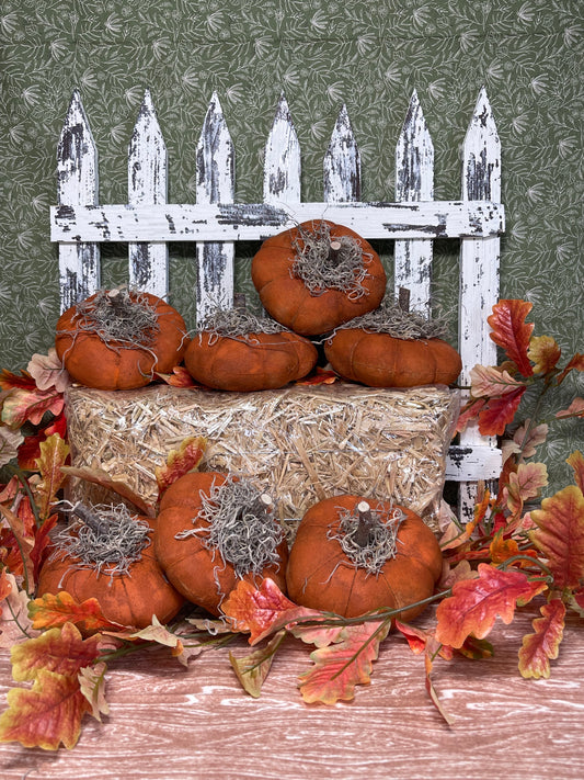 Pumpkin Flatties