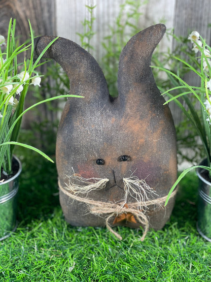 Funny Bunnies