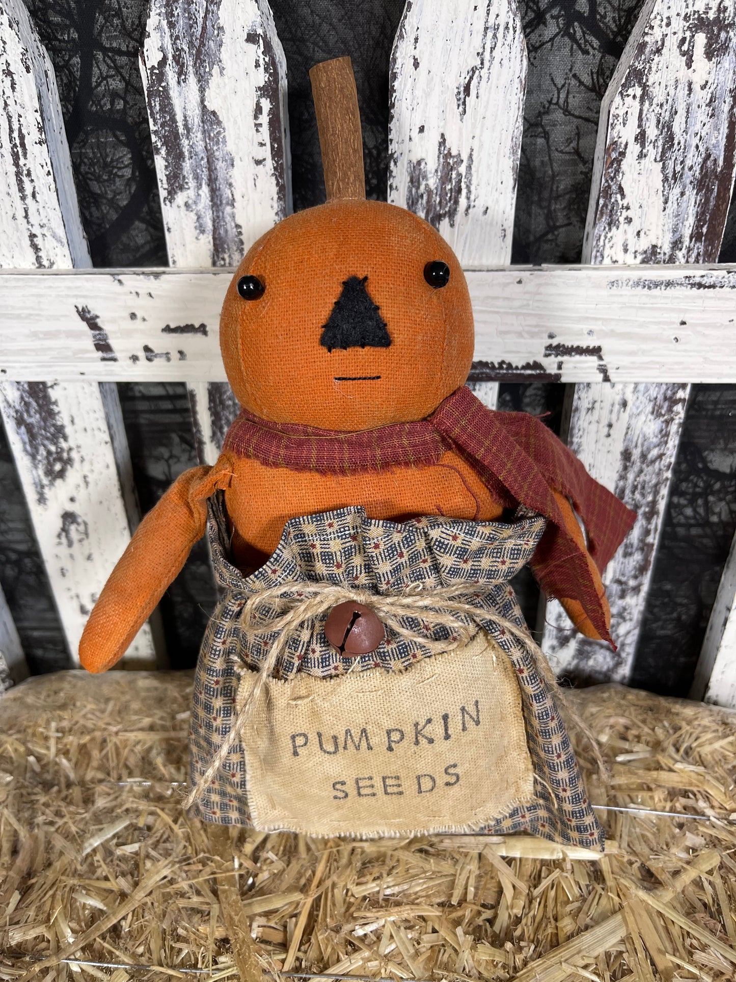 Pumpkin Seedlings