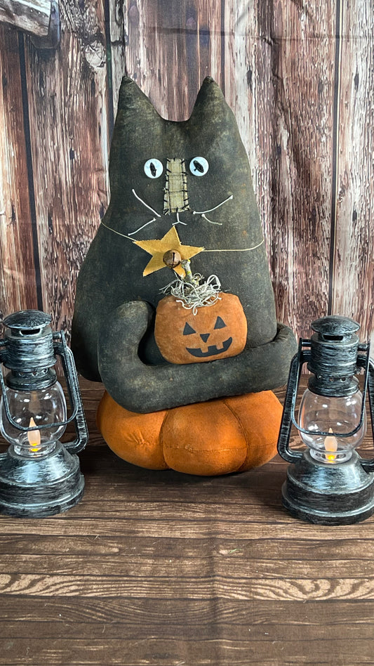 Primitive Barn Cat