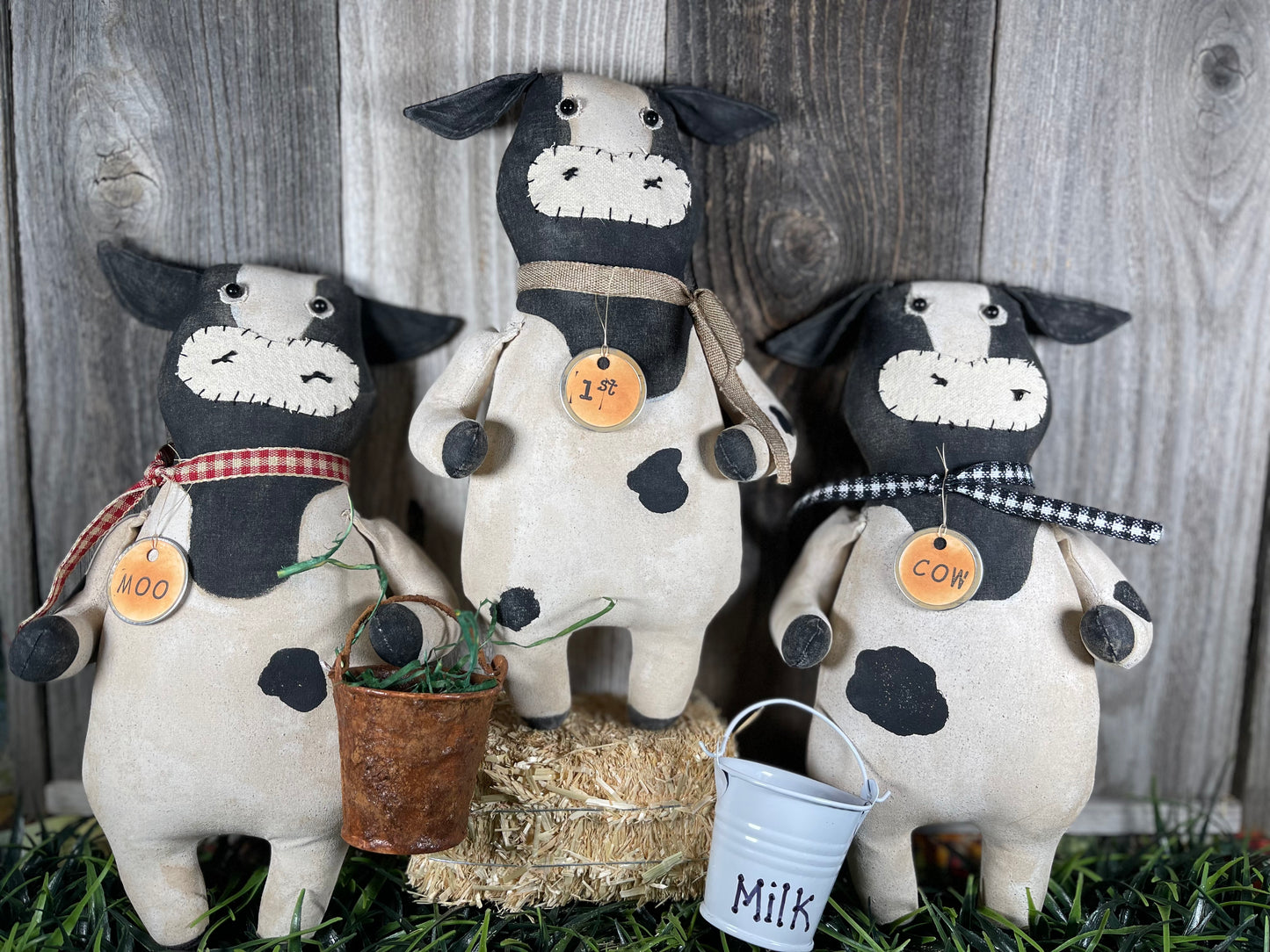 Show Cows